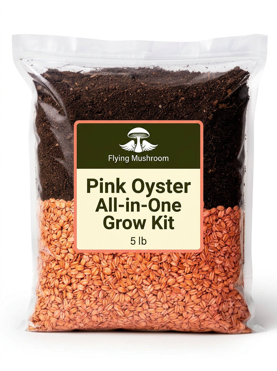 Pink Oyster All-in-One Grow Kit
