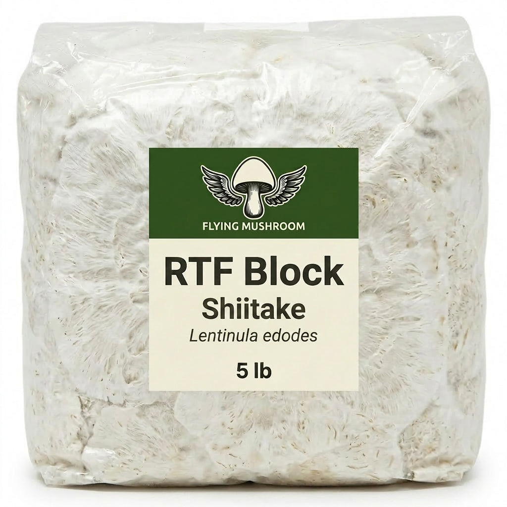 Shiitake RTF Fruiting Block - 5 lb