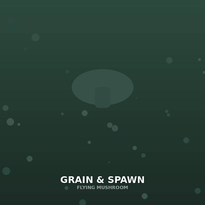 Grain & Spawn Bags / Jars