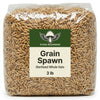Sterilized Grain Spawn Bag - 3 lb