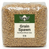 Sterilized Grain Spawn Bag - 5 lb