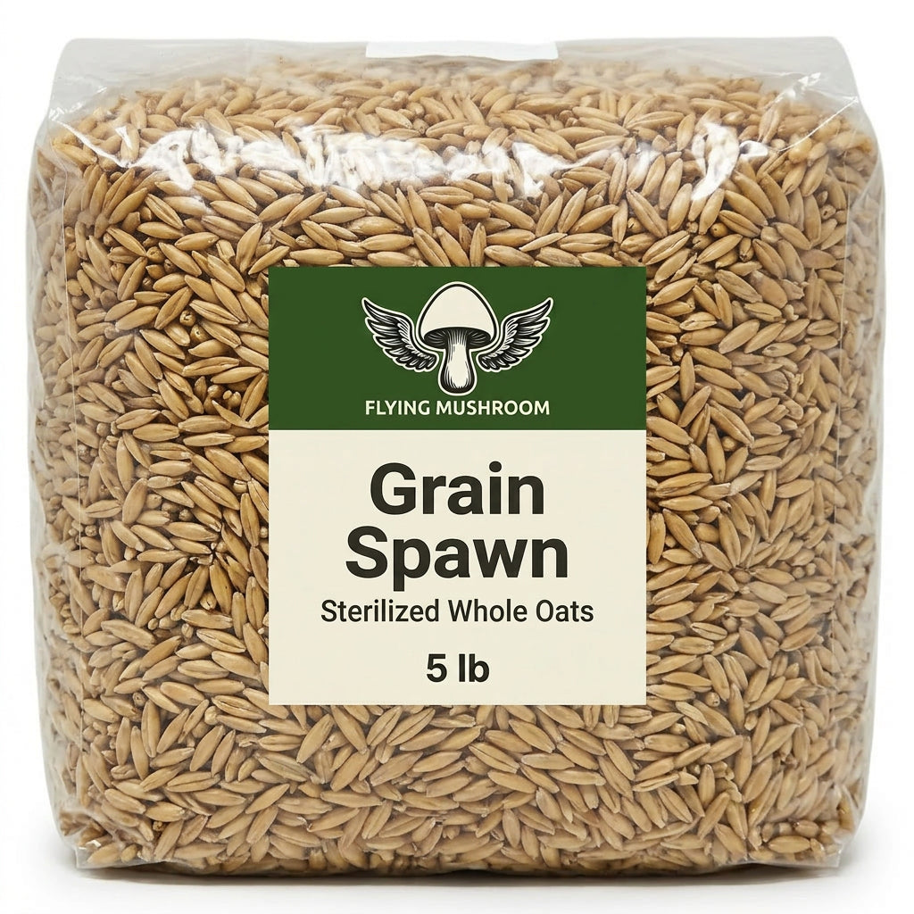 Sterilized Grain Spawn Bag - 5 lb