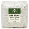 Blue Oyster RTF Fruiting Block - 5 lb