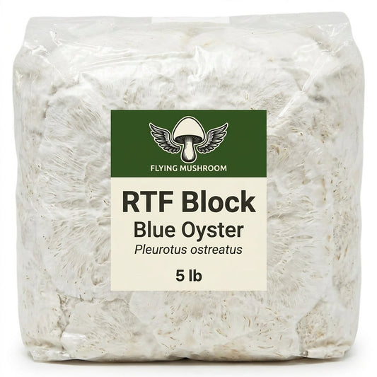 Blue Oyster RTF Fruiting Block - 5 lb
