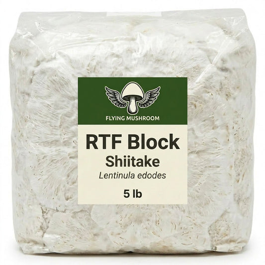 Shiitake RTF Fruiting Block - 5 lb