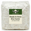Blue Oyster Ready to Grow Bag