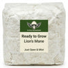 Lion's Mane Ready to Grow Bag