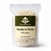 Pink Oyster Ready to Grow Bag
