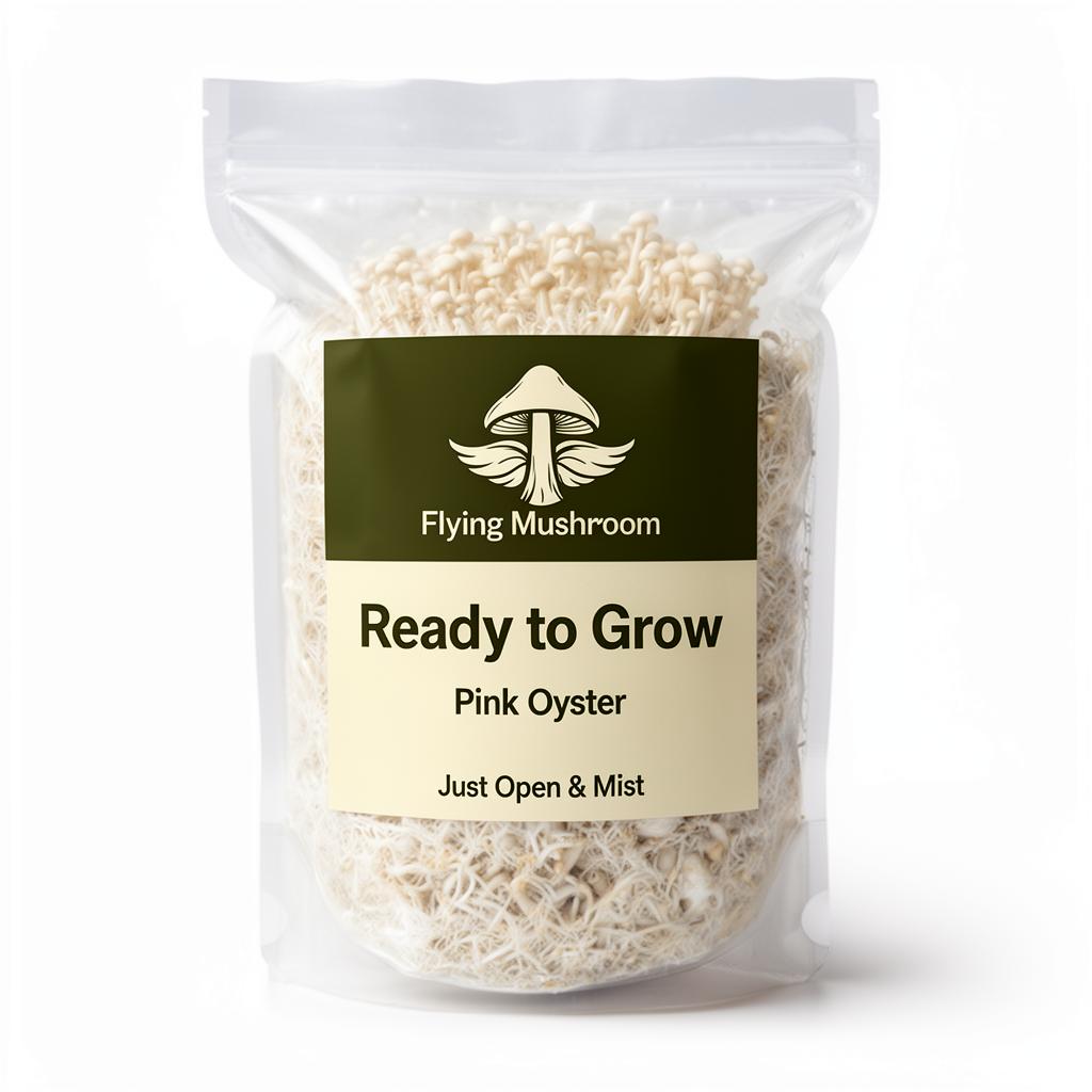 Pink Oyster Ready to Grow Bag